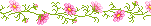 pink-flower-vine